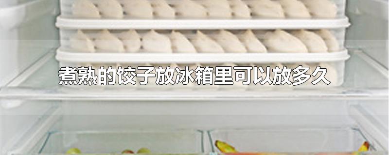熟饺子放在冰箱里可以放多久(煮熟的饺子放冰箱冷藏里可以放多久)