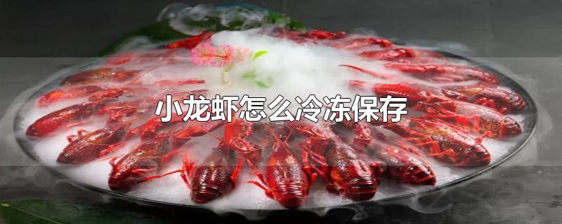 小龙虾怎么冷冻保存到冬天,小龙虾怎么冷冻保存最好
