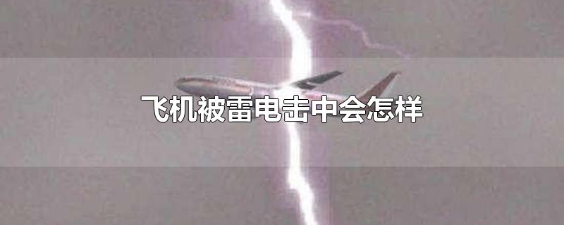 飞机被雷电击中会怎样动画演示视频(飞机被雷电击中会怎样视频)