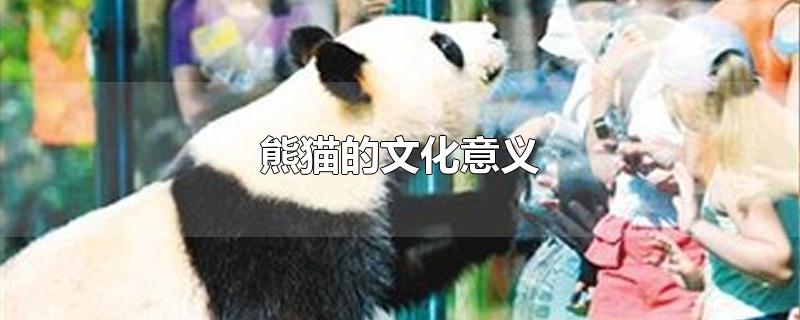 熊猫的文化意义(熊猫的文化意义的资料)