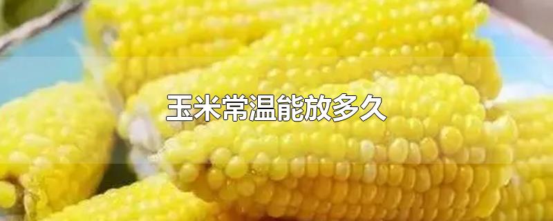 新鲜玉米常温能放多久(冬天生玉米常温能放多久)