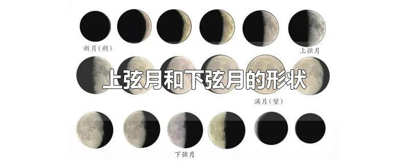 上弦月和下弦月的形状图片(上弦月和下弦月的形状是一样的都是只有半个月亮对不对)