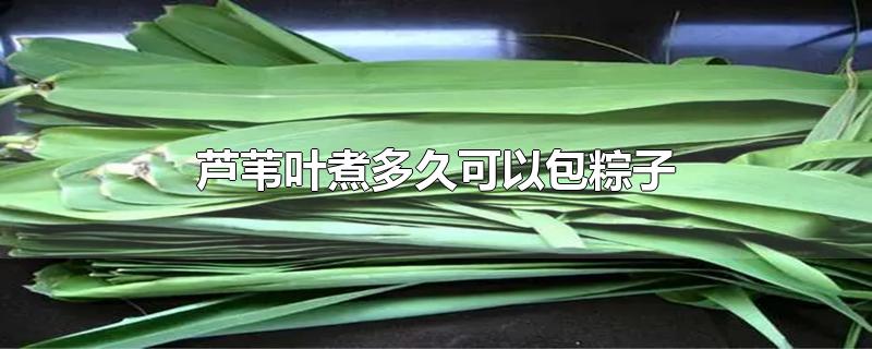 用芦苇叶如何包粽子步骤简单,粽叶煮多久可以包粽子
