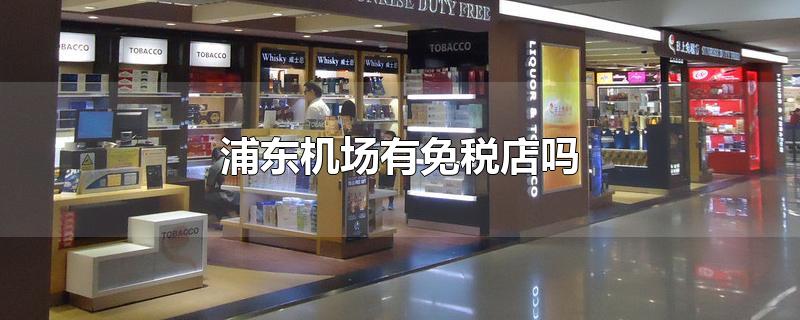 浦东机场免税店有哪些品牌(上海机场免税店有哪些牌子)