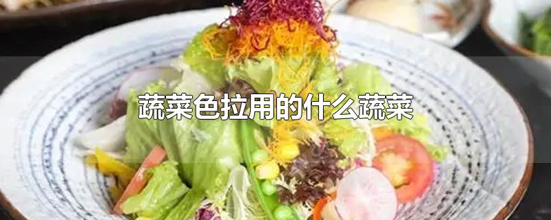 色拉蔬菜(蔬菜色拉用什么蔬菜做的)