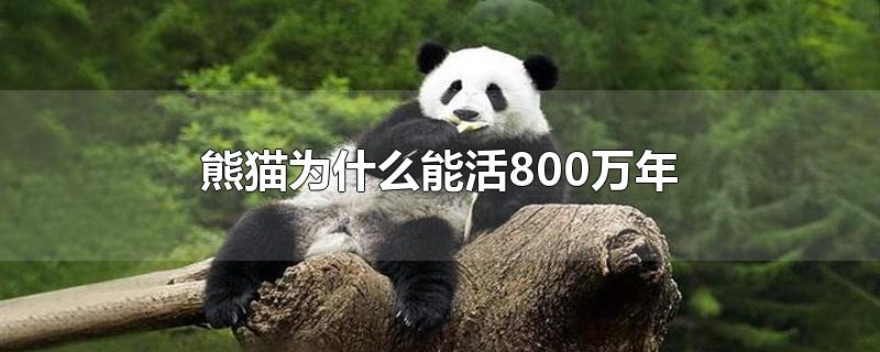 熊猫活了多少万年(熊猫生存了至少多少万年)