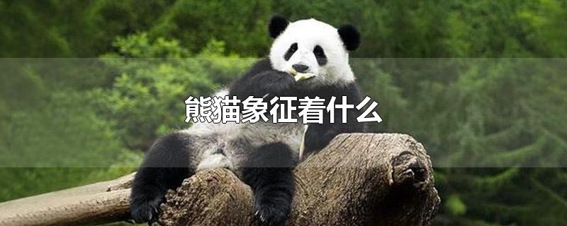 熊猫象征着什么意义(国宝大熊猫象征着什么)