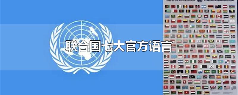 联合国官方六大语言(联合国五大官方语言是哪五个?)