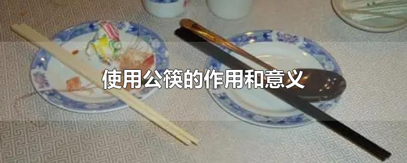 使用公筷的作用和意义英语作文(使用公筷的作用和意义英语)
