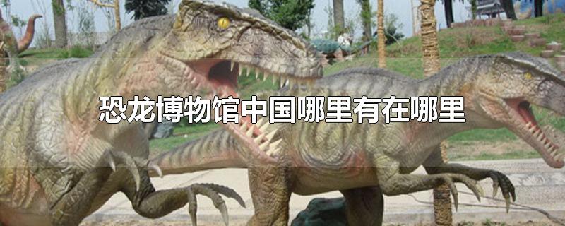 恐龙博物馆中国哪里有在哪里(中国十大恐龙博物馆在什么地方)