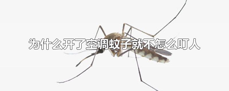 为什么开了空调蚊子就不怎么叮人,开空调蚊子为什么不咬人