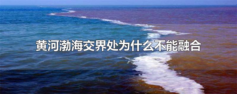 黄河入渤海交界线(黄河和渤海为什么不相容)