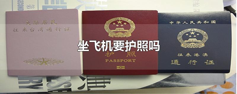 坐飞机要护照吗国内(用护照能买机票吗)