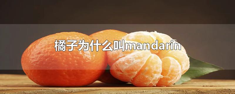 mandarin(橘子为什么叫mandarin orange)
