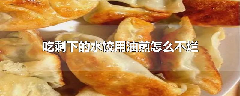 剩下的水饺怎么煎着吃?(没煮的饺子可以用油煎吗)
