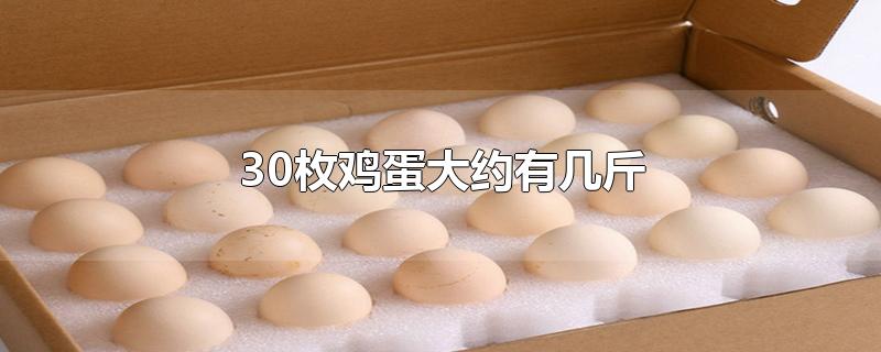 30枚鸡蛋大约有几斤(20枚鸡蛋大约有几斤)