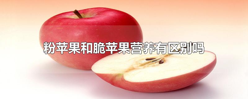 脆苹果和粉苹果的营养区别(粉的苹果和脆的苹果营养是不是一样)
