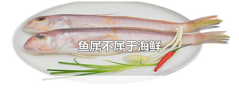 鱼属不属于海鲜类(海鲜有哪些种类及名称)