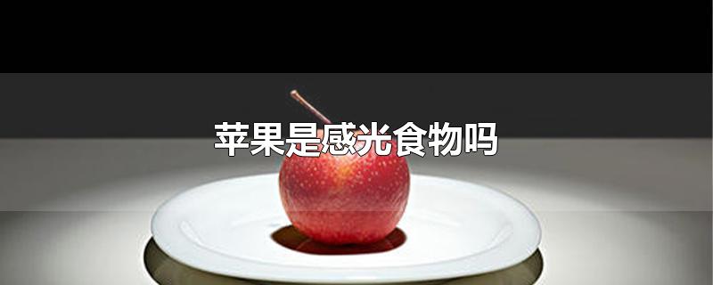 苹果是感光食物吗?(苹果是感光食物吗百度)