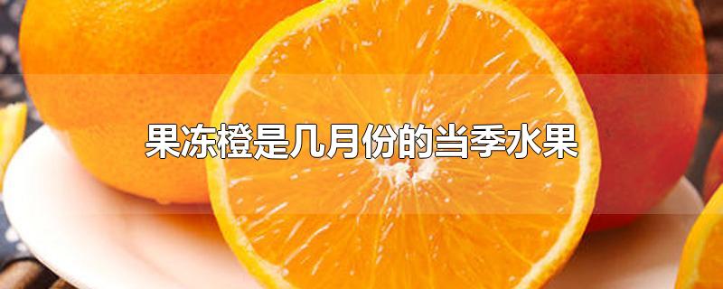 果冻橙一般什么季节(果冻橙几月份上市)