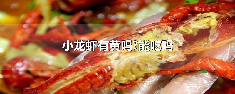 小龙虾黄黄的能吃吗(小龙虾虾黄能吃吗)