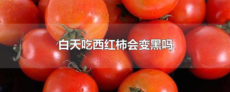 白天吃西红柿会变黑吗?(西红柿可以吃白天会让人变黑吗)
