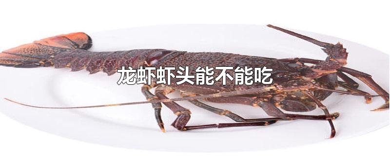 龙虾虾头能不能吃?(龙虾的虾头可以吃吗)