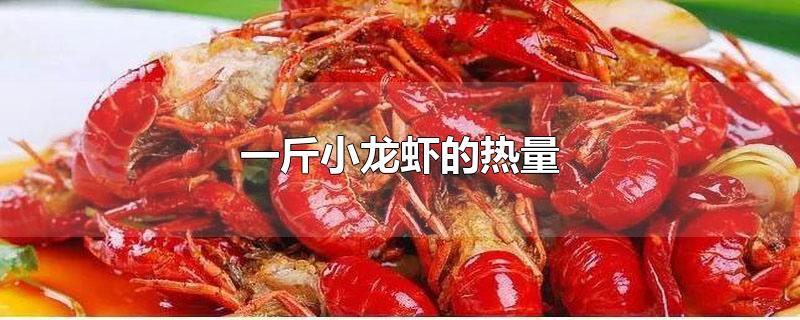一斤小龙虾的热量(一斤小龙虾的热量是多少)