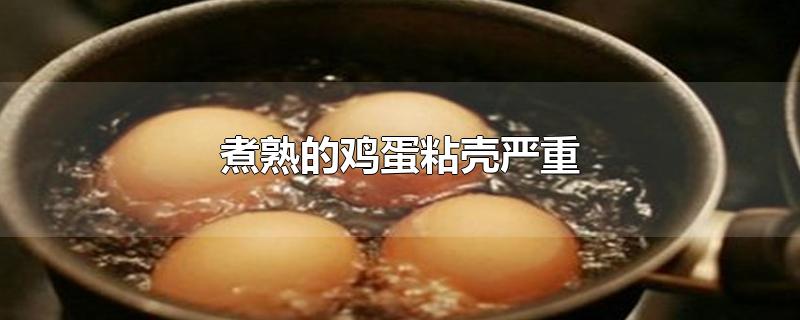 煮熟的鸡蛋粘壳严重(煮熟的鸡蛋粘壳严重(蛋黄有水)