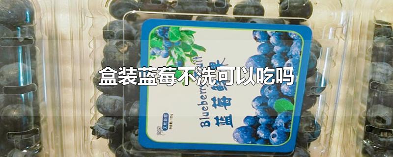 蓝莓可以不洗直接吃吗(盒装蓝莓用不用洗)