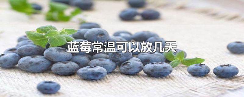 蓝莓常温可以放几天?(蓝莓常温能放几天)
