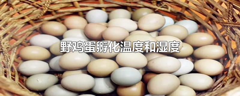 野鸡蛋孵化温度和湿度(野鸡蛋孵化温度和湿度是多少)