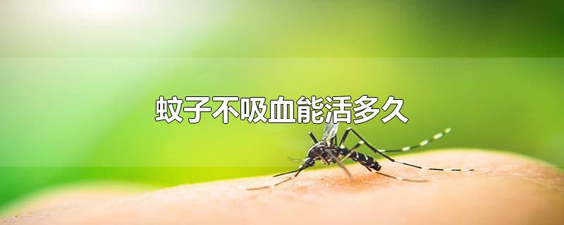 蚊子不吸血能活多久?(蚊子不吸血能活几天)