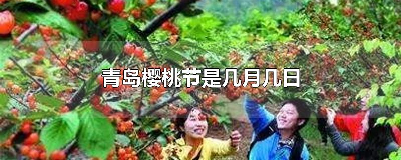 青岛樱桃节是几月几日2021(青岛樱桃节是几月几日)