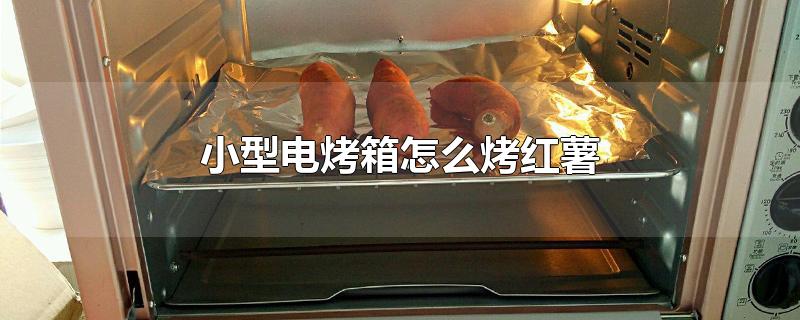 小型电烤箱怎么烤红薯片(小型电烤箱烤红薯多少温度)