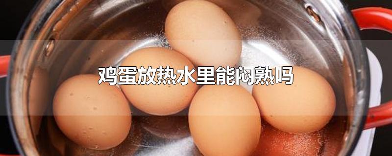 鸡蛋放热水里能闷熟吗(鸡蛋放在热水里能熟吗)