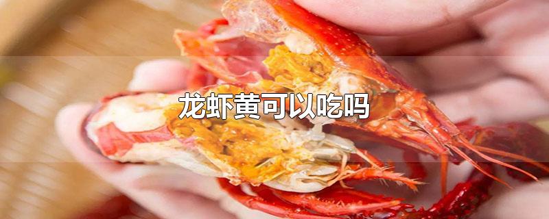 龙虾黄可以吃吗(小龙虾虾黄可以吃吗?)