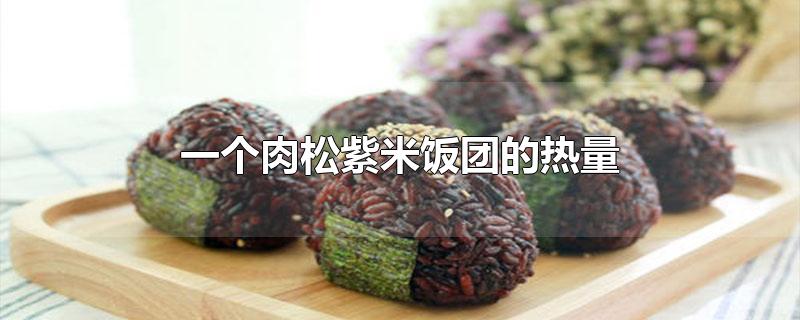 一个肉松紫米饭团的热量(一份台湾紫米肉松饭团的热量)