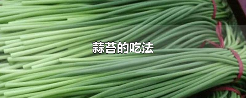 蒜苔的吃法大全(怎样腌制蒜苔好吃又简单不坏)