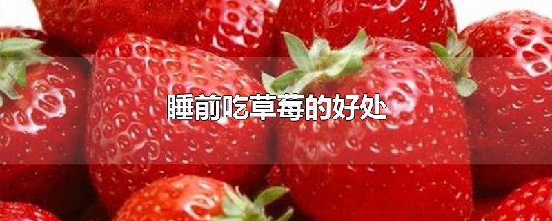 睡前吃草莓的好处(睡前吃草莓的好处肝肾功能不全的能吃春笋吗?)