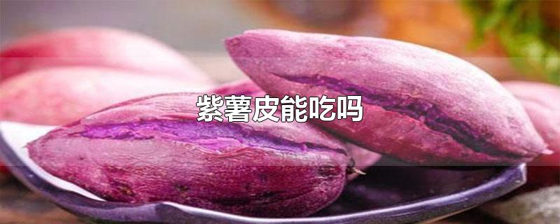 紫薯皮能吃吗有些什么营养(蒸熟的紫薯皮能吃吗)