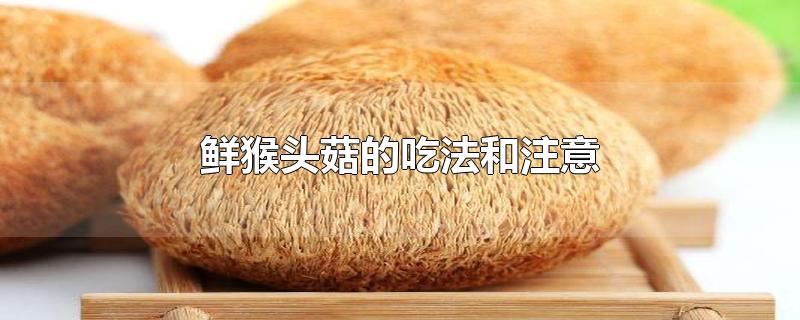 鲜猴头菇的吃法和注意怎么保鲜猴头菇(鲜猴头菇的吃法和注意)