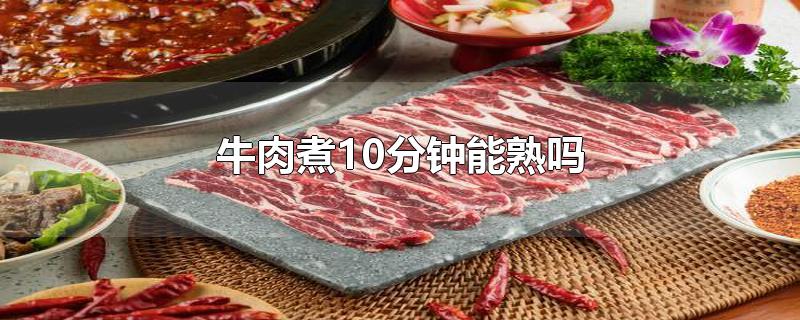 牛肉煮10分钟能熟吗辅食(牛肉煮10分钟能熟吗高压锅)