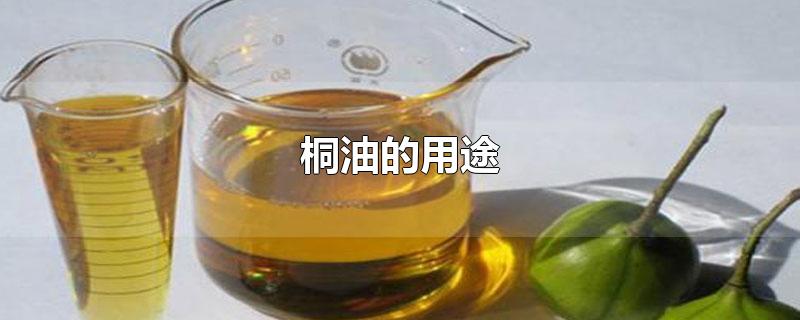 桐油的用途和使用方法(桐油的作用和功效)
