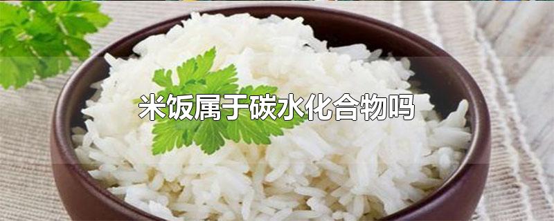 大米饭含糖量高不高(不含碳水化合物的主食)