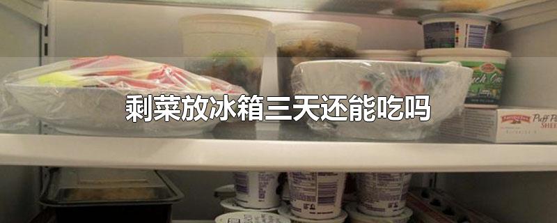 冬天剩菜放冰箱三天还能吃吗(剩菜放冰箱三天还能吃吗?)