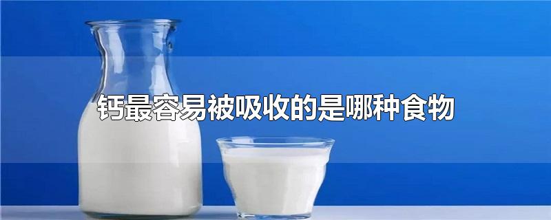 钙最容易被吸收的是哪种食物 牛奶(含钙的食物比较高的有哪些?)