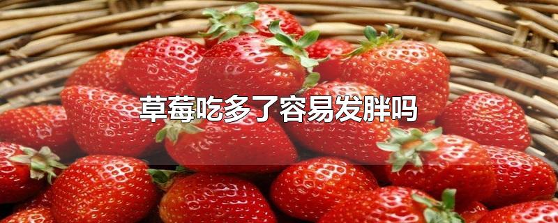草莓吃多了会胖吗(草莓会发胖?)