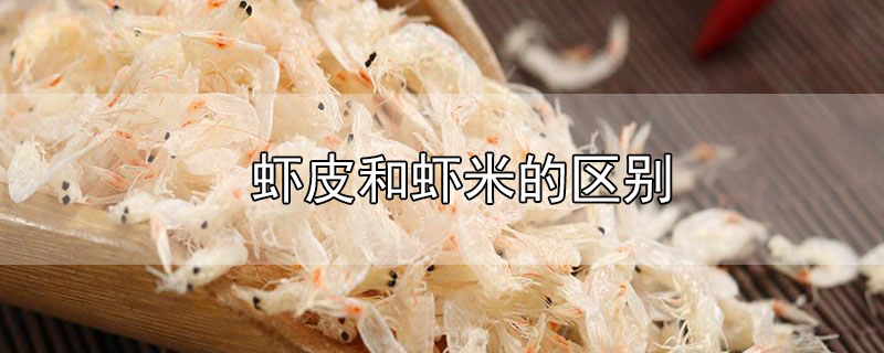 虾皮和虾米的区别图片(虾皮和虾米的区别)