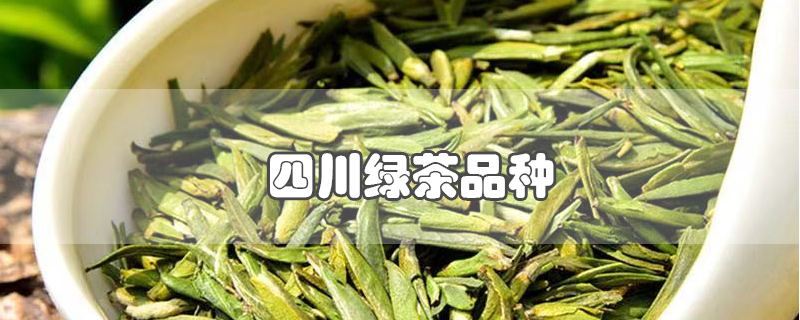 四川绿茶品种(四川绿茶品种排名)